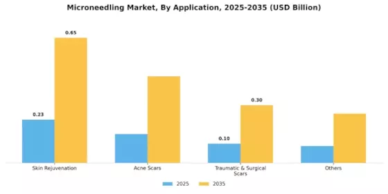 Microneedling Market Segment Image 0