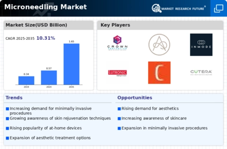 Microneedling Market Infographic
