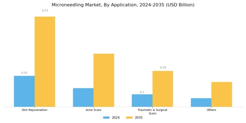 Microneedling Market Segment Image 3