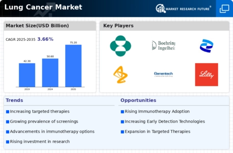 Lung Cancer Market Infographic