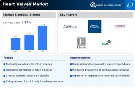 Heart Valves Market Infographic