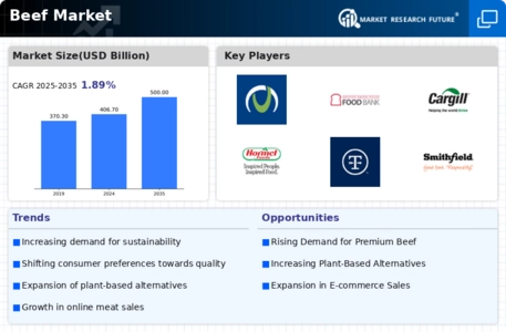 Beef Market Infographic