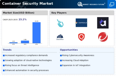 Container Security Market Infographic