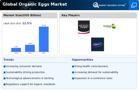 Organic Eggs Market Infographic