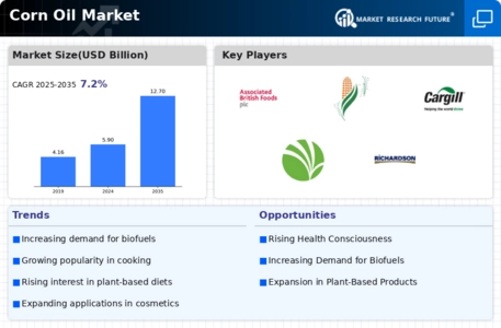 Corn Oil Market Infographic