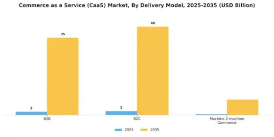 Commerce as a Service Market Segment Image 2