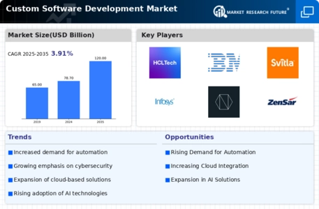 Custom Software Development Market Infographic