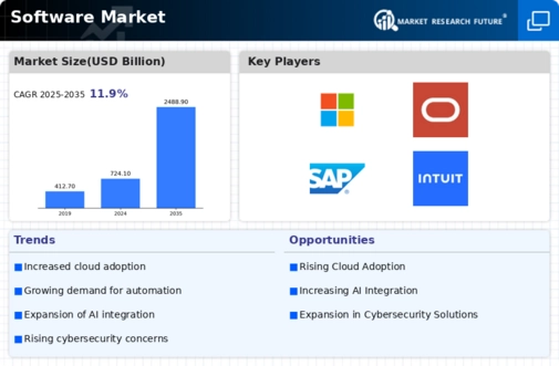 Software Market Infographic