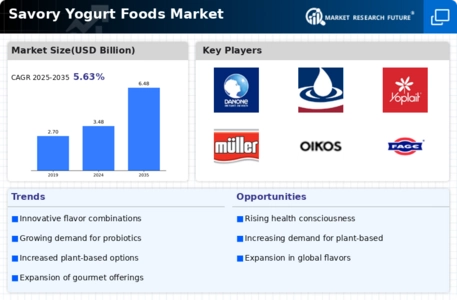Savory Yogurt Foods Market Infographic