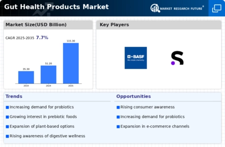 Gut Health Products Market Infographic