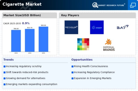 Cigarette Market Infographic
