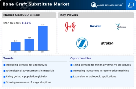 Bone Graft Substitutes Market Infographic