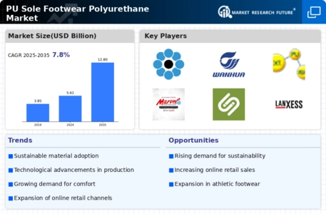 PU Sole Footwear Polyurethane Market Infographic