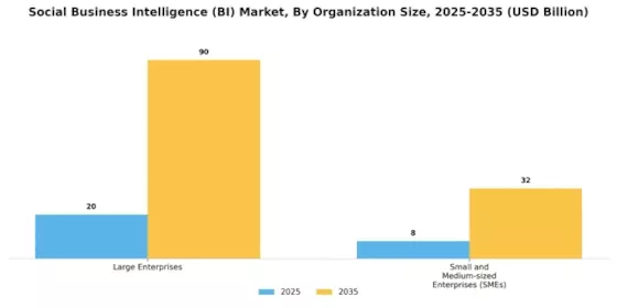 Social Business Intelligence BI Market Segment Image 2