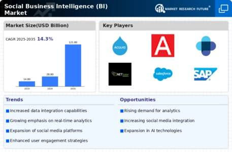 Social Business Intelligence BI Market Infographic