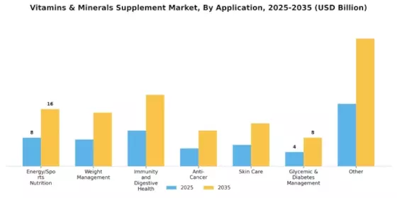 Vitamins Minerals Supplement Market Segment Image 0