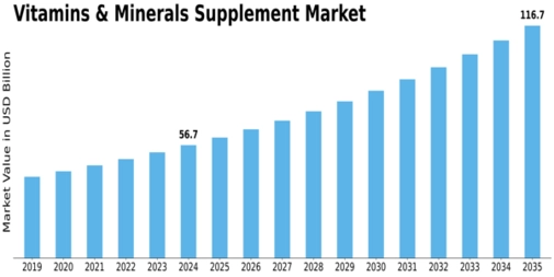 Vitamins Minerals Supplement Market Size