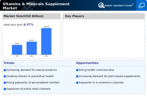 Vitamins Minerals Supplement Market Infographic