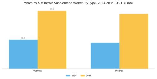 Vitamins Minerals Supplement Market Segment Image 0