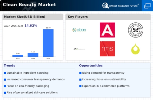 Clean Beauty Market Infographic