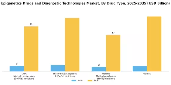 Epigenetics Drugs Diagnostic Technologies Market Segment Image 0