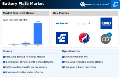 Battery Plate Market Infographic