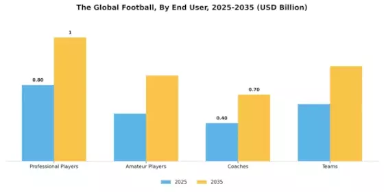 Football Market Segment Image 2