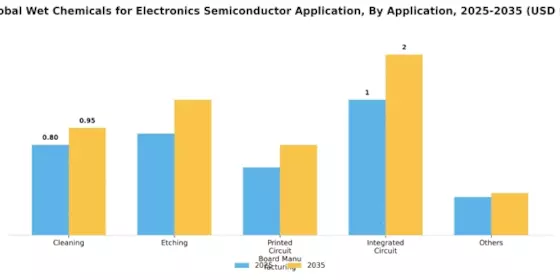 Wet Chemicals for Electronics Semiconductor Application Market Segment Image 1