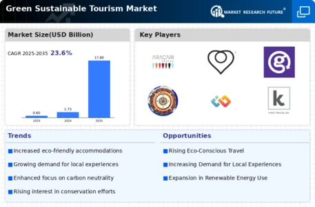 Green Sustainable Tourism Market Infographic