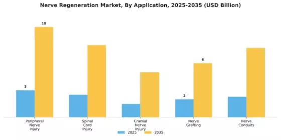 Nerve Regeneration Market Segment Image 0