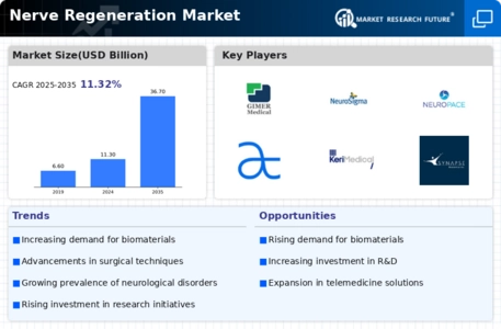 Nerve Regeneration Market Infographic