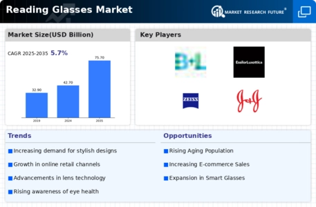 Reading Glasses Market Infographic