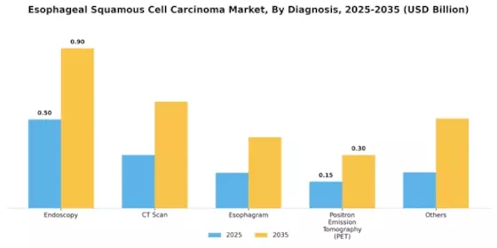 Esophageal Squamous Cell Carcinoma Market Segment Image 0