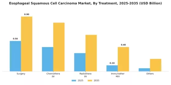 Esophageal Squamous Cell Carcinoma Market Segment Image 1