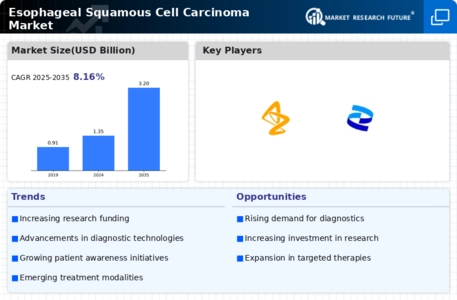 Esophageal Squamous Cell Carcinoma Market Infographic