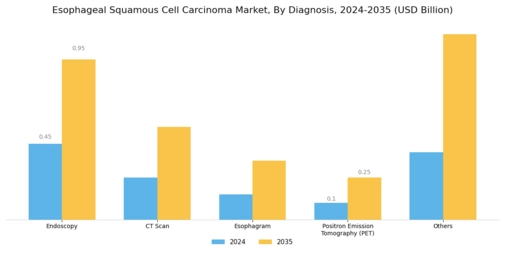 Esophageal Squamous Cell Carcinoma Market Segment Image 0