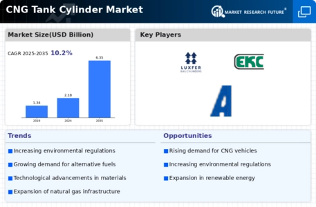 CNG Tank Cylinder Market Infographic