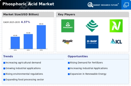 Phosphoric Acid Market Infographic