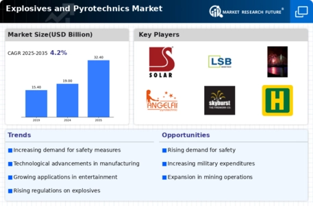 Explosives Pyrotechnics Market Infographic
