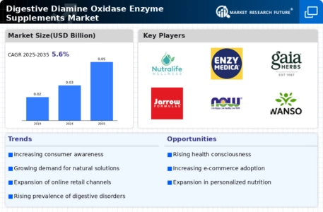 Digestive Diamine Oxidase Enzyme Supplements Market Infographic