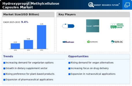 Hydroxypropyl Methylcellulose Capsules Market Infographic