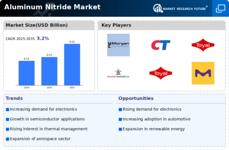 Aluminum Nitride Market Infographic