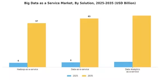 Big Data as a Service Market Segment Image 1