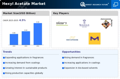 Hexyl Acetate Market Infographic