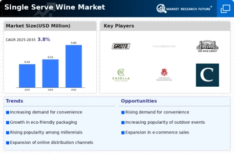 Single Serve Wine Market Infographic