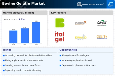 Bovine Gelatin Market Infographic