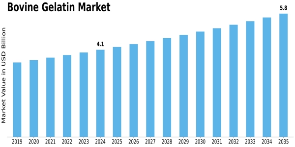 Bovine Gelatin Market Size