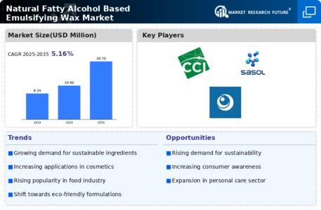 Natural Fatty Alcohol Based Emulsifying Wax Market Infographic