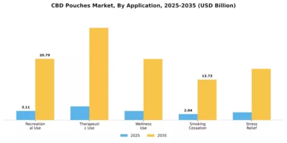 CBD Pouches Market Segment Image 0