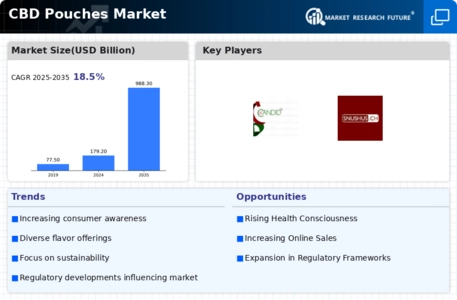 CBD Pouches Market Infographic